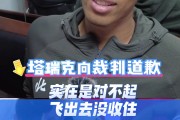 飞出底线撞伤裁判 丘天：实在是对不起 当时飞出去了实在没收住